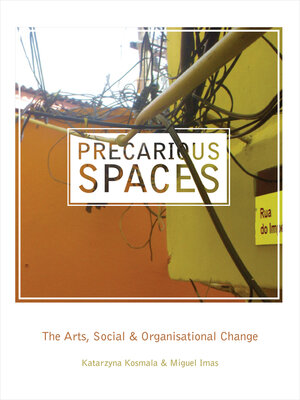 cover image of Precarious Spaces